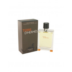 TERRE D ERMES EDT 100ML